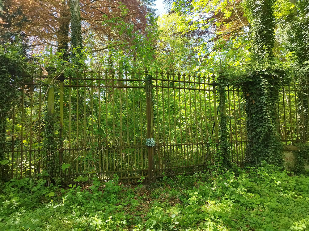 photo de la grille acc&egrave;s ferm&eacute;e par la v&eacute;g&eacute;tation