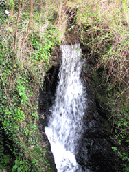 Photo de la cascade